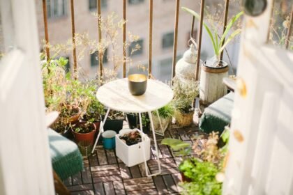 Balcony Gardening For Beginners