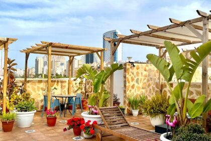 Rooftop garden lounge