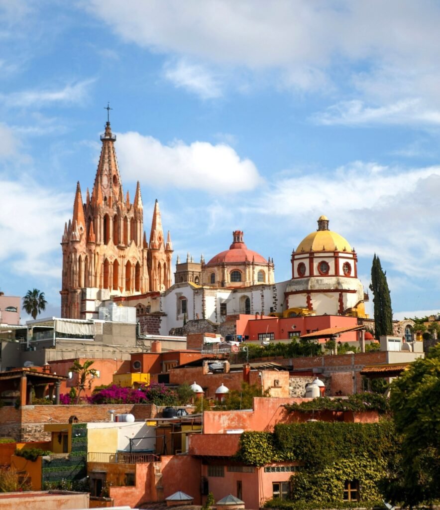 San Miguel rooftop gardens