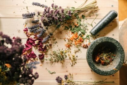 plant wellness ingredients