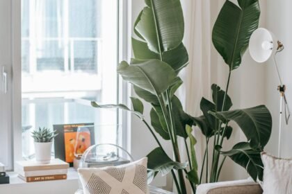 Restful apartment design